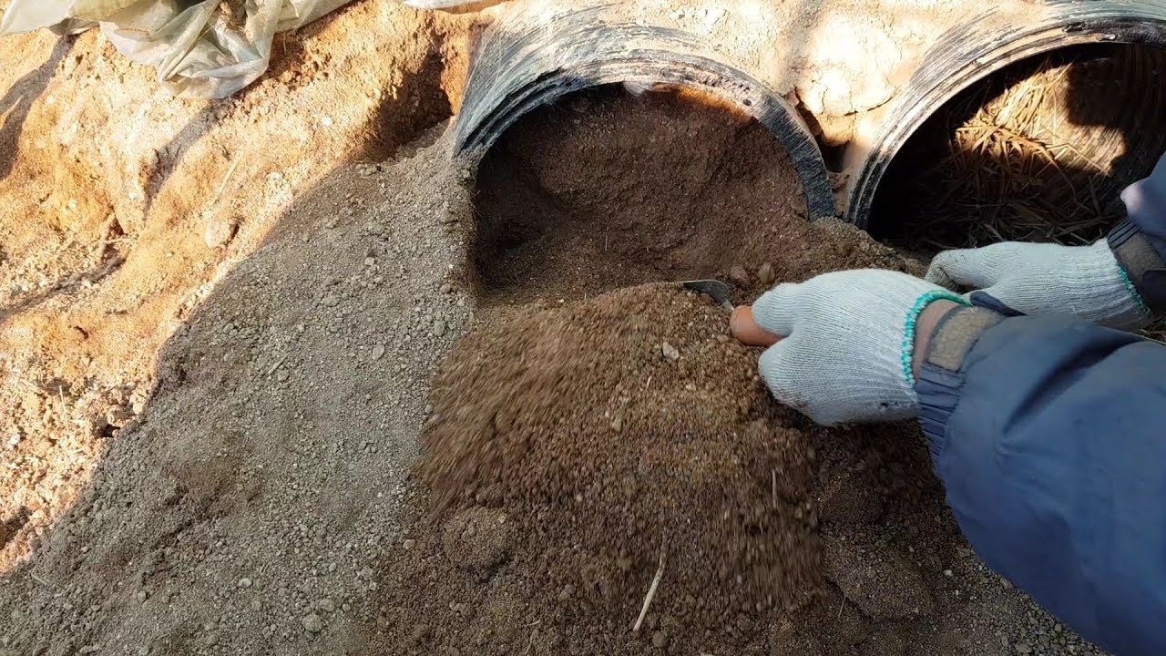어미토끼가 배수관속에 새끼를 낳고 막아놓았습니다. 아기토끼들이 잘있는지 궁금해서 한번 굴을 파고 보았습니다.