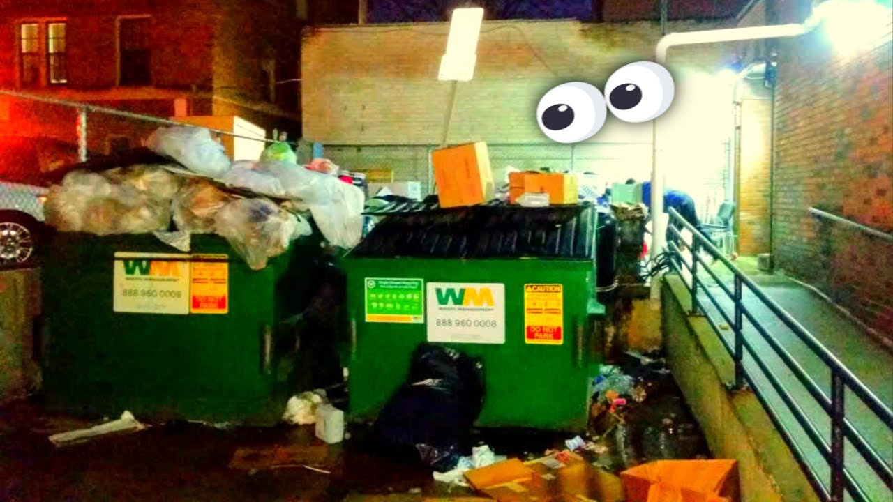 Dumpster Diving 