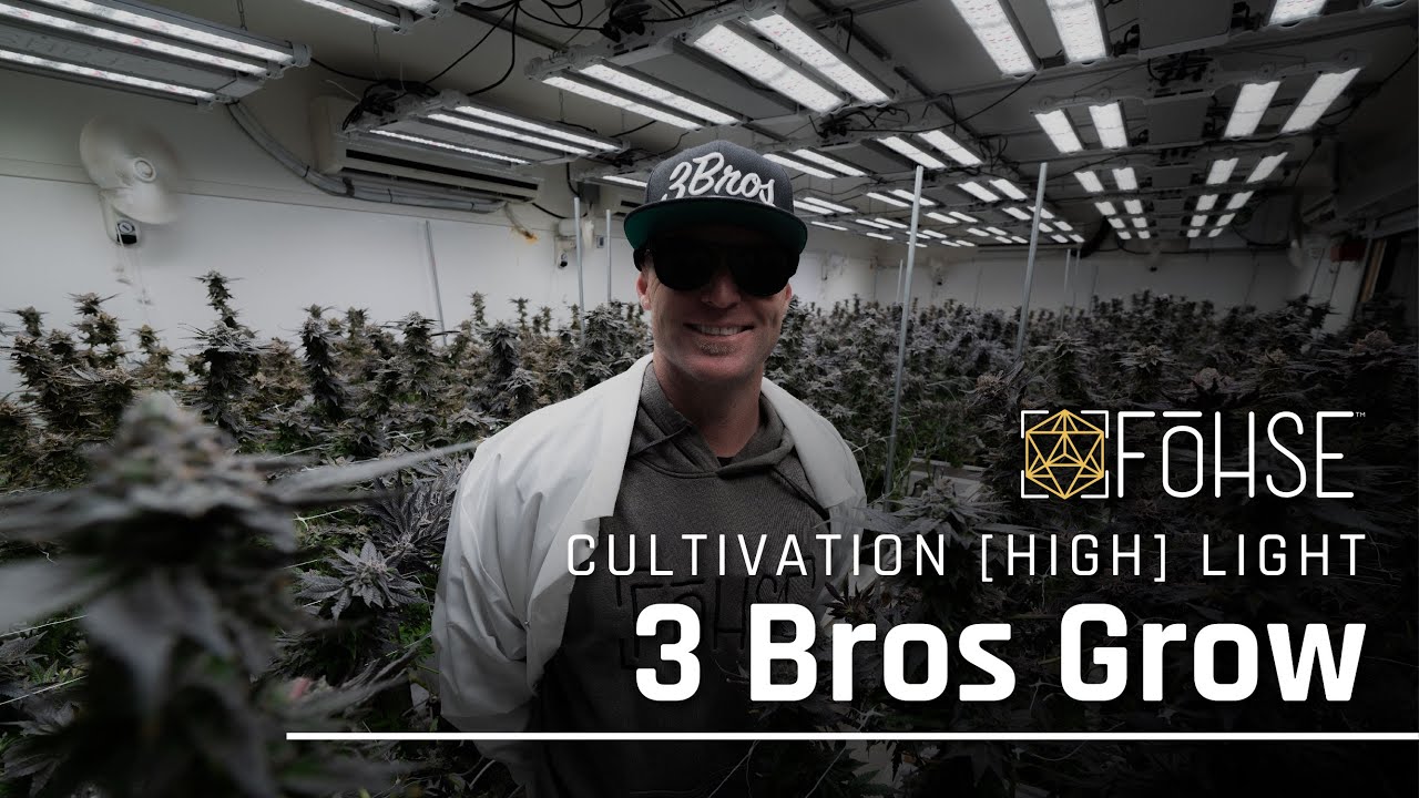 3 Bros Grow Cultivation | Attention To Detail | Cultivation Highlight