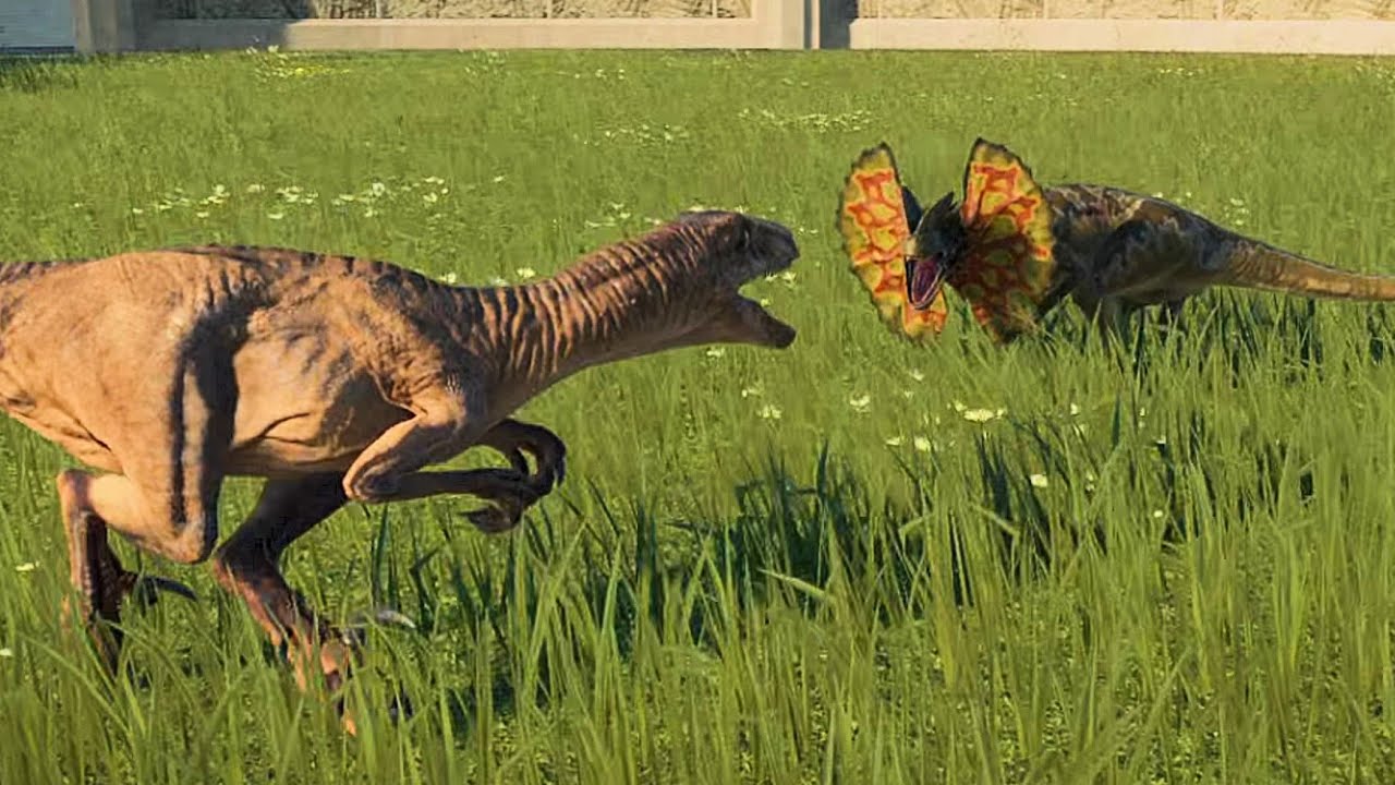 Dilophosaurus Vs Velociraptor - Jurassic World Evolution 2