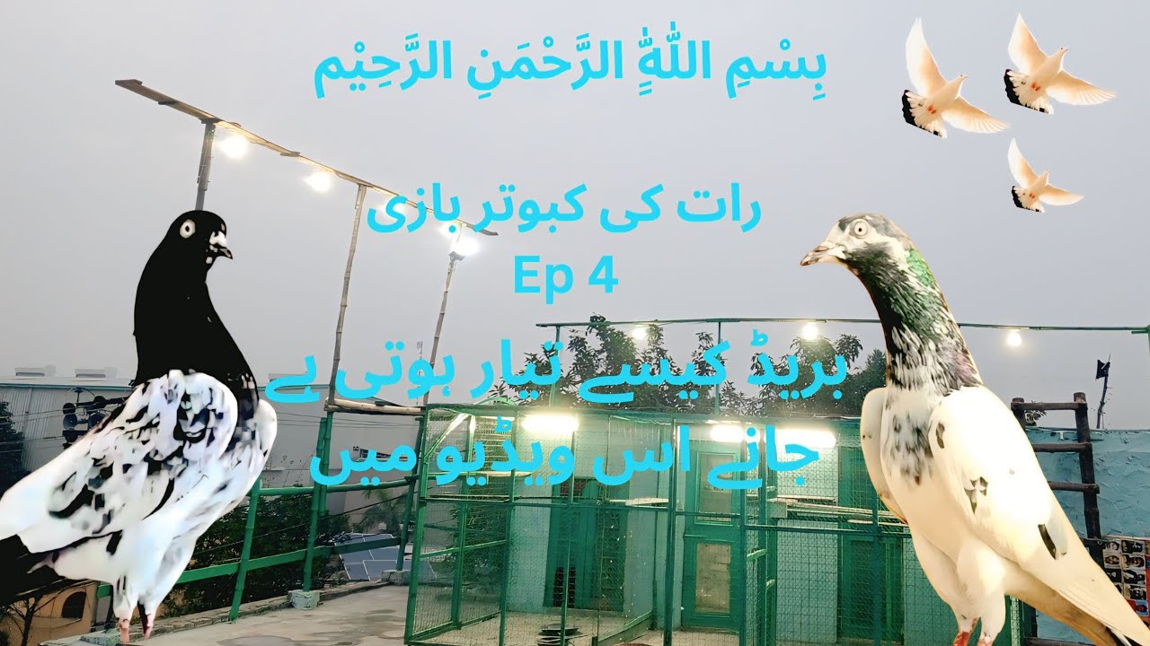 اپنے گھر کی بریڈ تیار کرنے کا طریقہ ۔🥰🥰