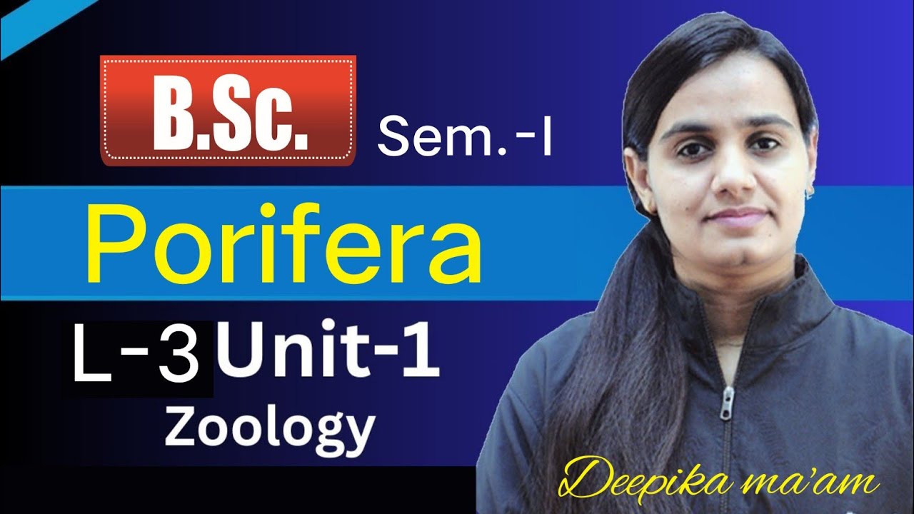 Lecture 3 Porifera | Animal Taxonomy | Zoology by Deepika Mam #bsc #zoology