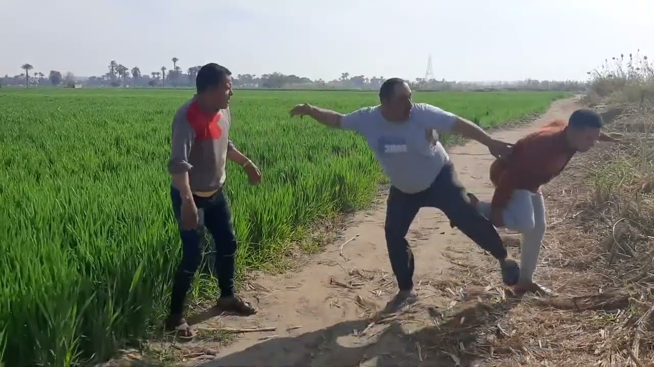 مستر كارتيه