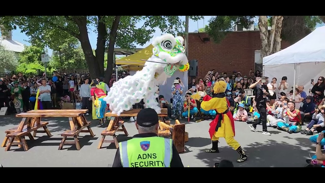 Lion dance at Footscray Lunar New year festival 2024 #liondance #australia #melbourne #lunar