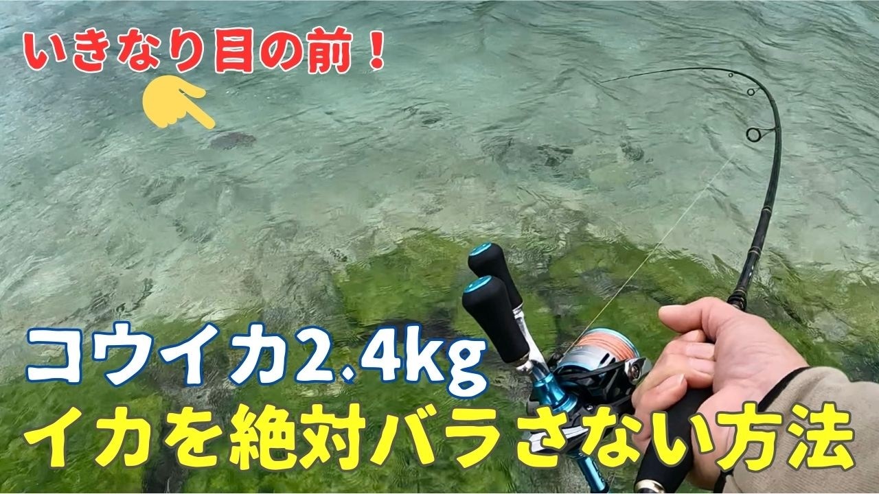 【沖縄エギング】デカイカをバラさない方法とタックルを解説