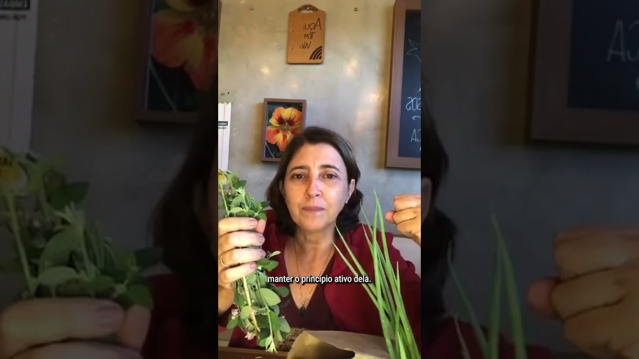DESIDRATANDO ERVAS - Horta em Casa | Marcia Chiad