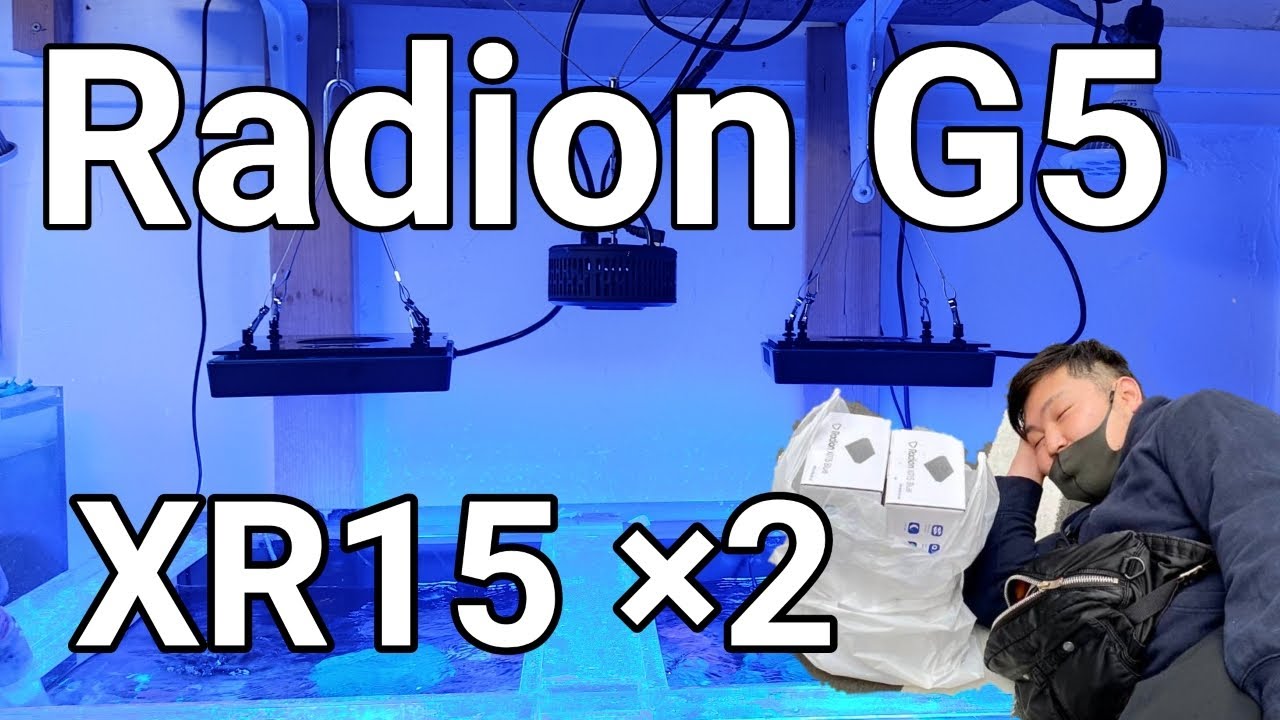 （海水水槽）RADION XR15 Blue 購入、設置