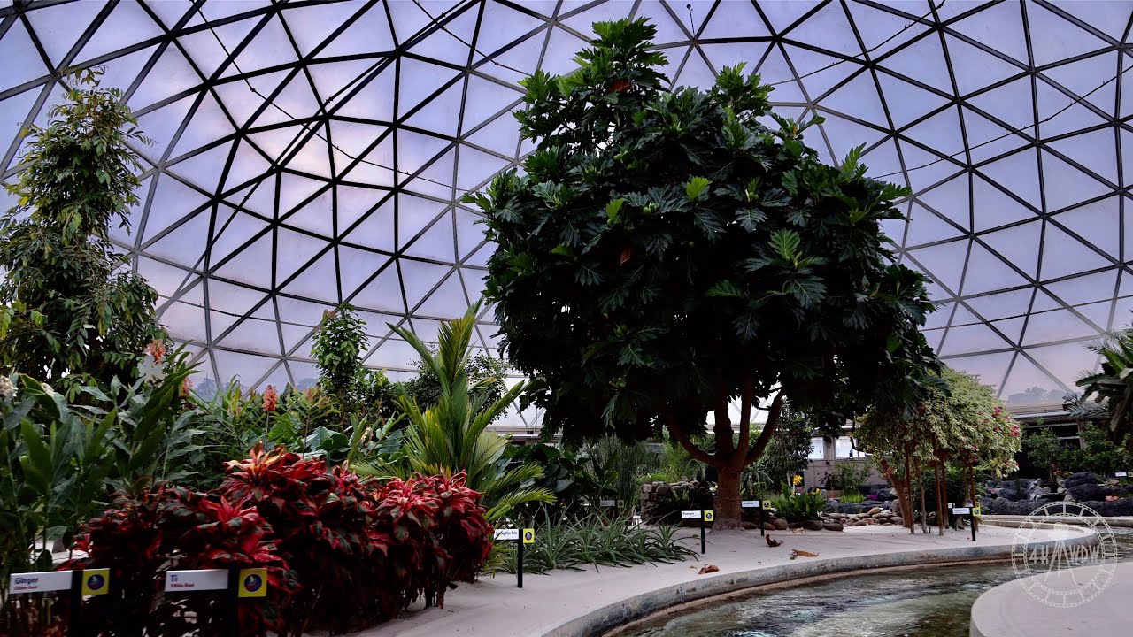 EPCOT Living with the Land 2023 Ride POV in 8K | Walt Disney World Orlando Florida February 2023
