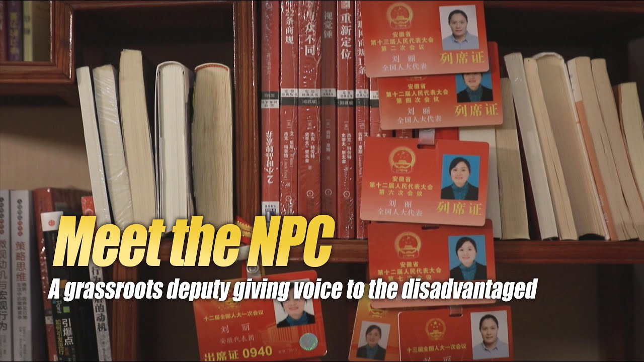 From grassroots to law, how China's National People's Congress work?