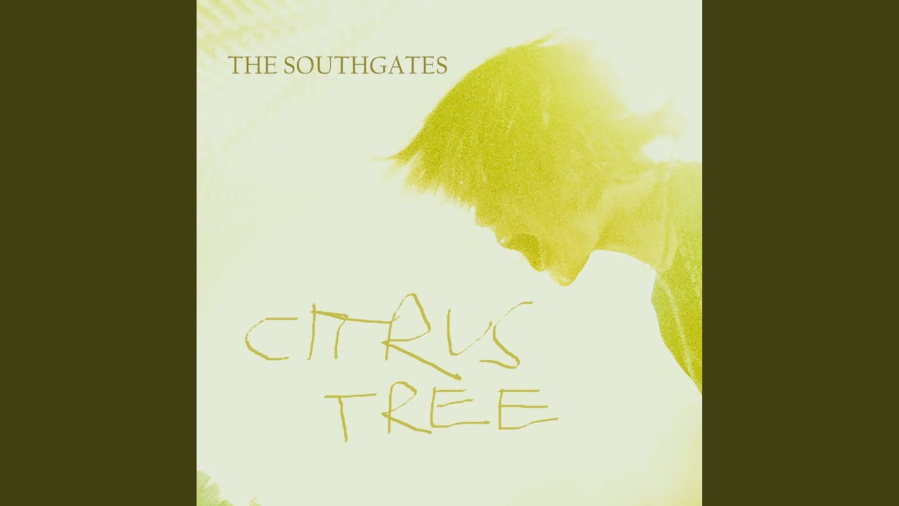 Citrus Tree