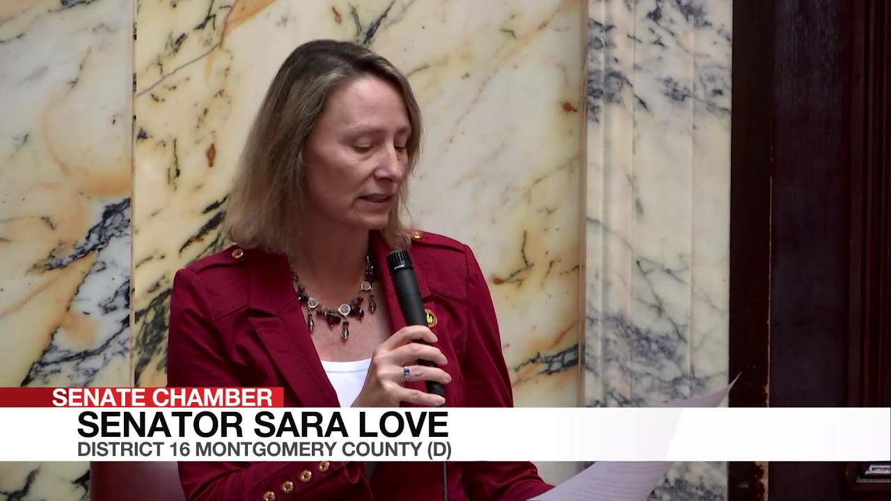 Senate Floor Session, 3/13/2026 #1