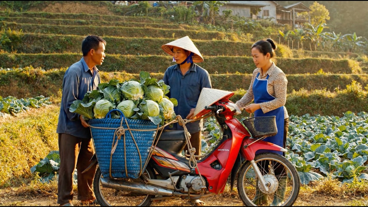 A Gentle Farm Day &mdash; An Elderly Couple Planting and Harvesting Cabbage with Their Little Dog