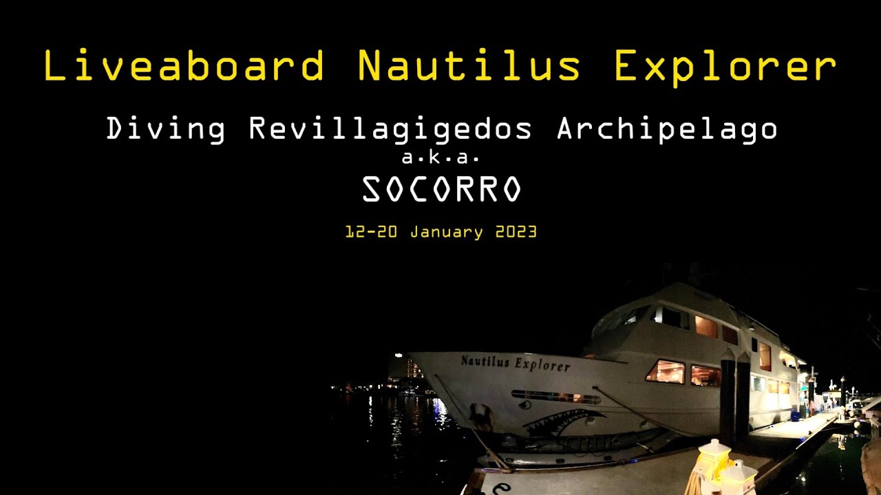 Liveaboard Socorro trip 12-20 Jan 2023