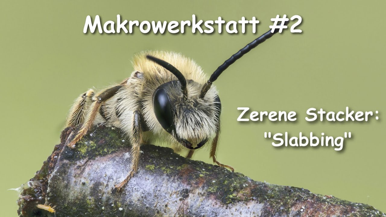 Makrowerkstatt-Tutorial #2 Slabbing