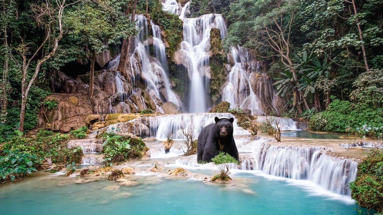 KUANG SI💧Las CASCADAS  más IMPRESIONANTES de LAOS💧