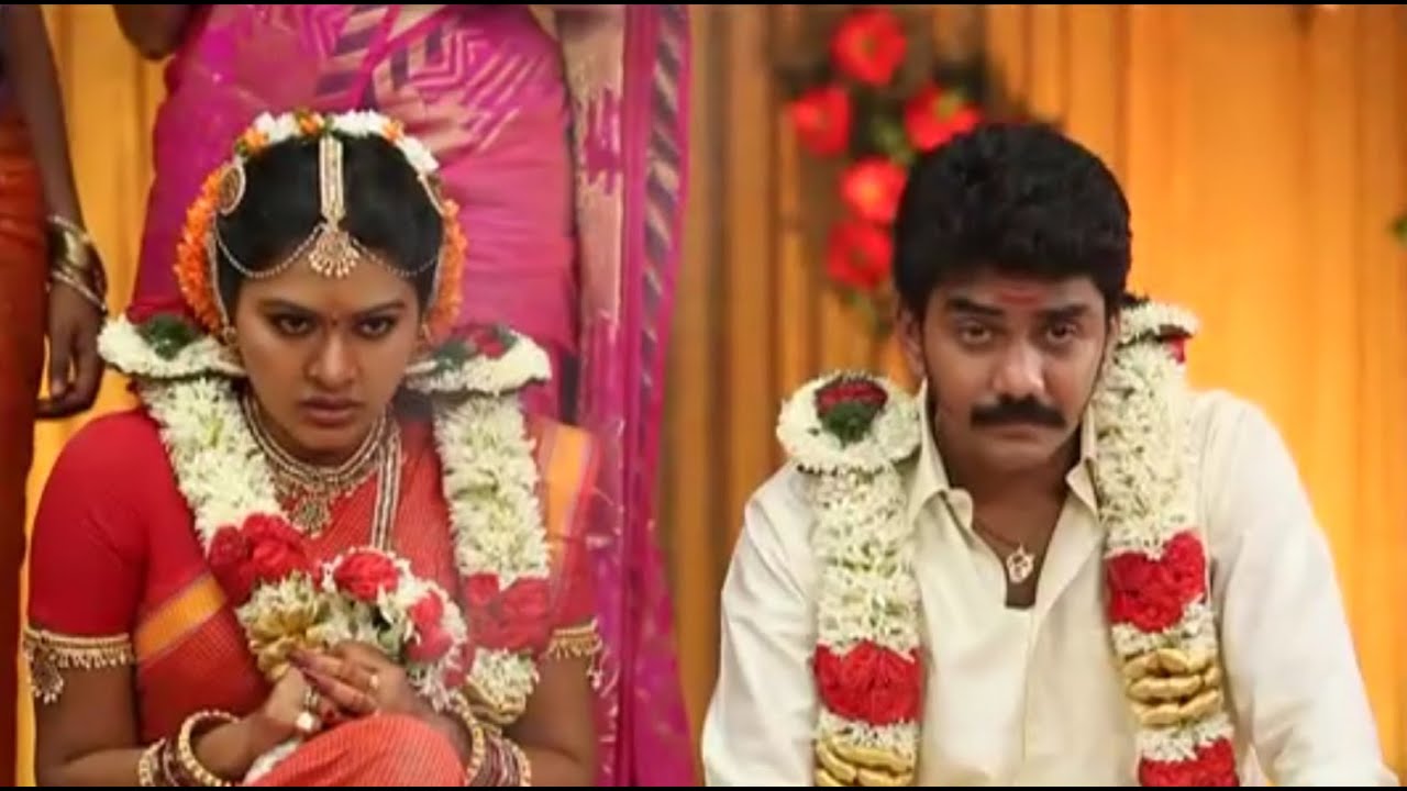 Vettaiyan Meenatchi Marriage / Saravanan Meenatchi marrige /  Saravanan Meenatchi