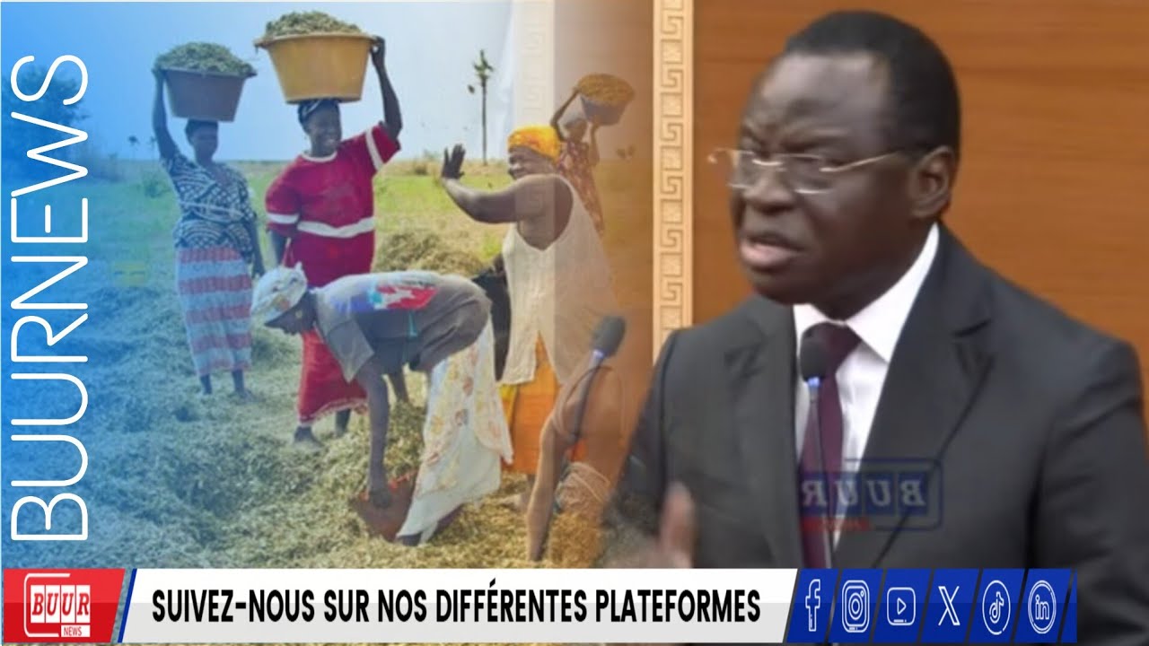 Serigne Gueye Diop sur la Campagne Arachi. : «Nous Demandons Juste de Temps Pour Ecouler l’arachide»