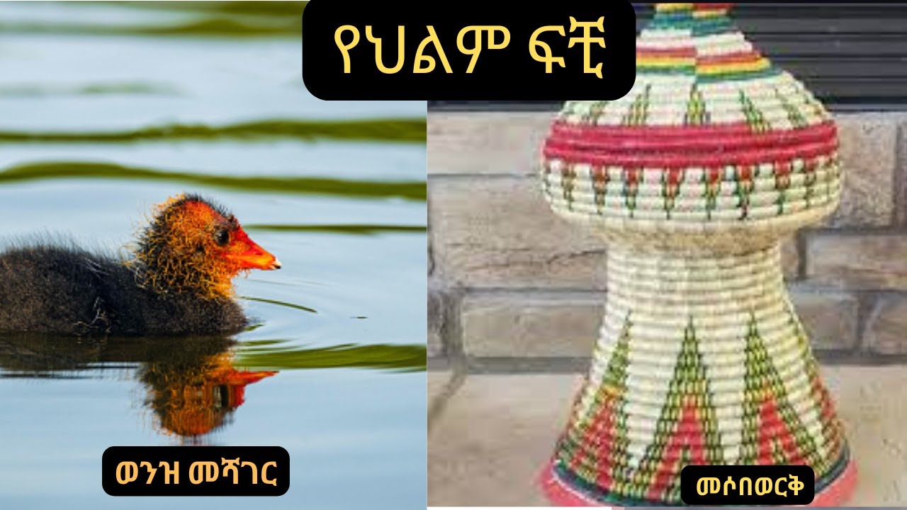 ወንዝ መሻገር : መሶበወርቅ