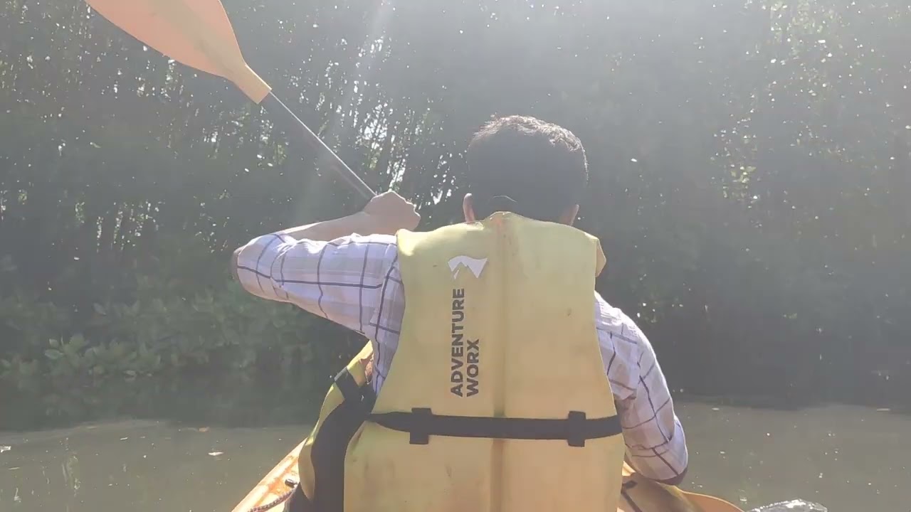 Kayaking through the mysteries of Padukere River in Zone 51 - the heart of Mangrove Forest.