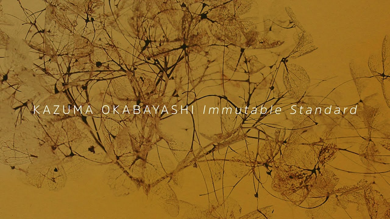 Kazuma Okabayashi - Immutable Standard (full album) [Official Audio]
