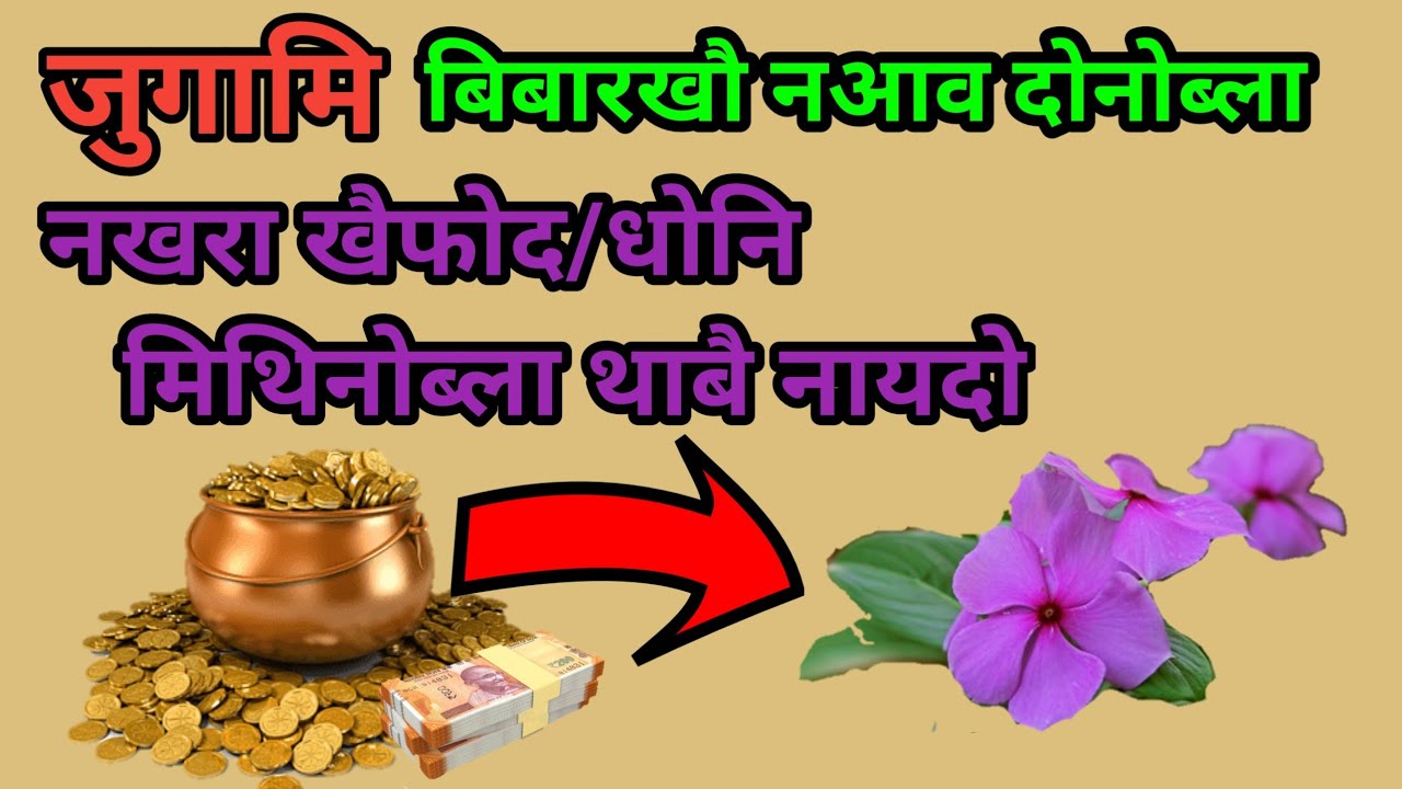 वास्तु सास्त्रनि बादिब्ला बे बिबारआ नखरखौ खैफोद जाहोयो//धोनि खालामो//Episode-11