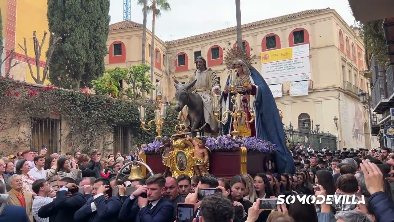 TRASLADO DE POLLINICA | MÁLAGA 2024 | 4K