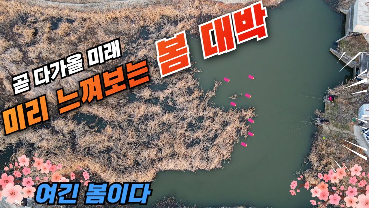 미리 느껴보는 봄 대박, 곧 이런 날이 옵니다