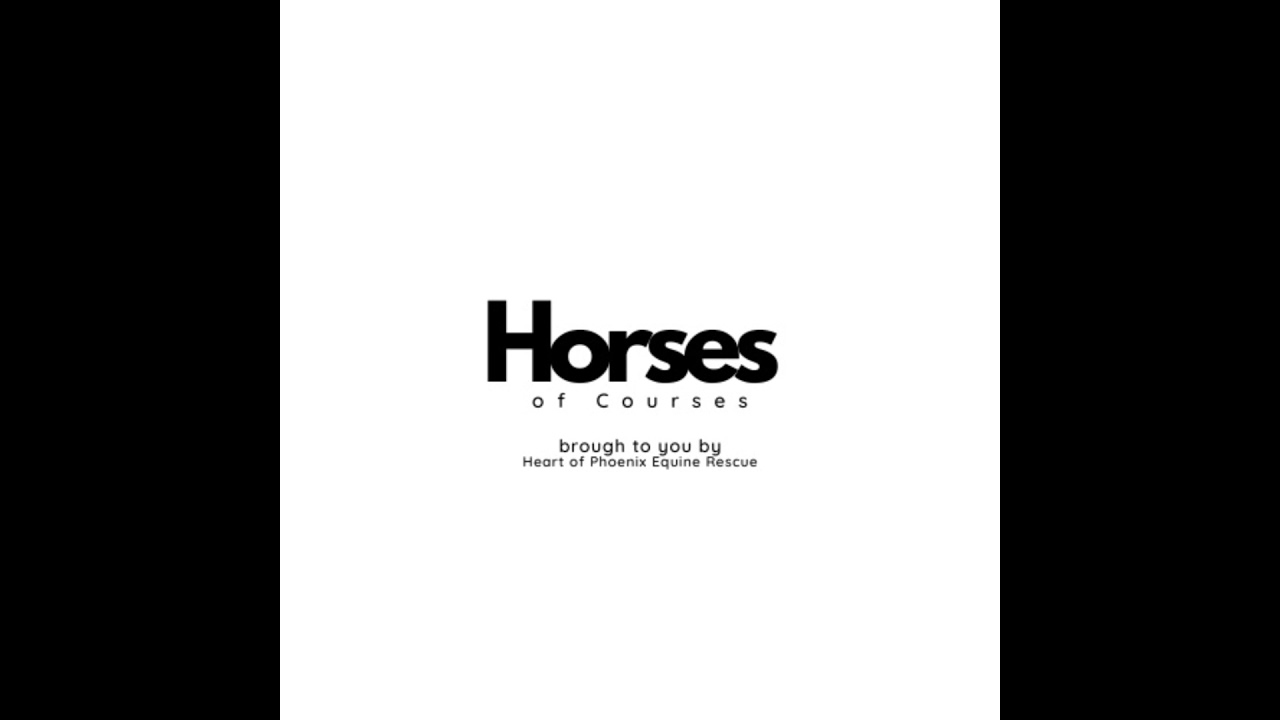 Your Horse Needs you to be their Advocate
