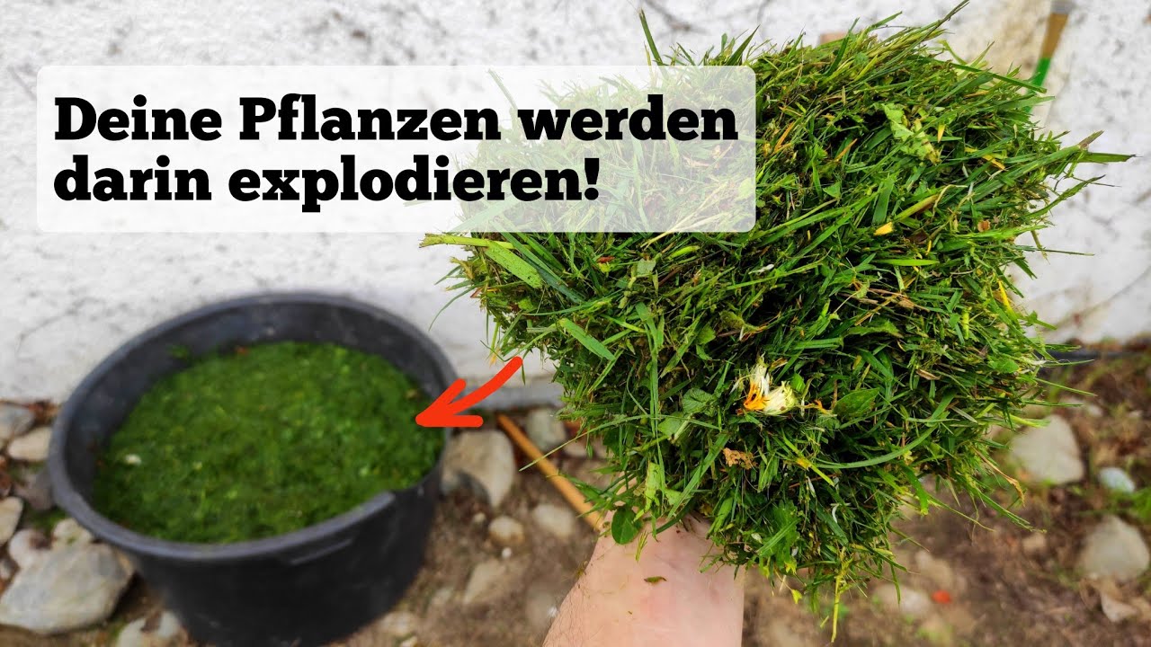 warum du jetzt viel Rasenschnitt sammeln solltest!