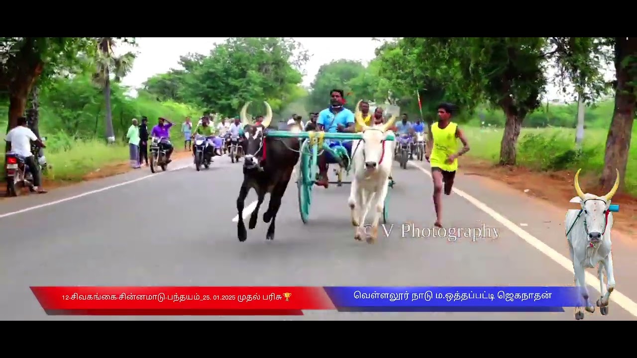 இதுவரைக்கும் பங்கு பெற்ற பந்தயம் 💪🏆🔥