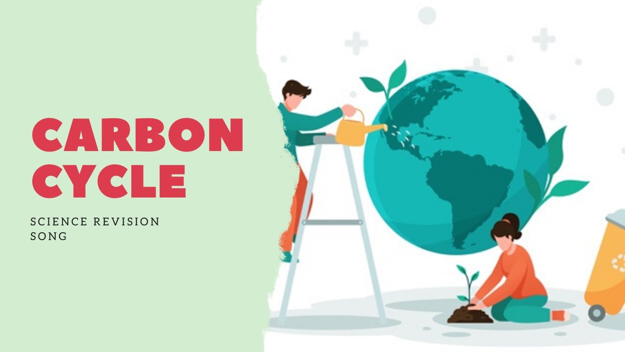 Carbon Cycle Science Revision Song
