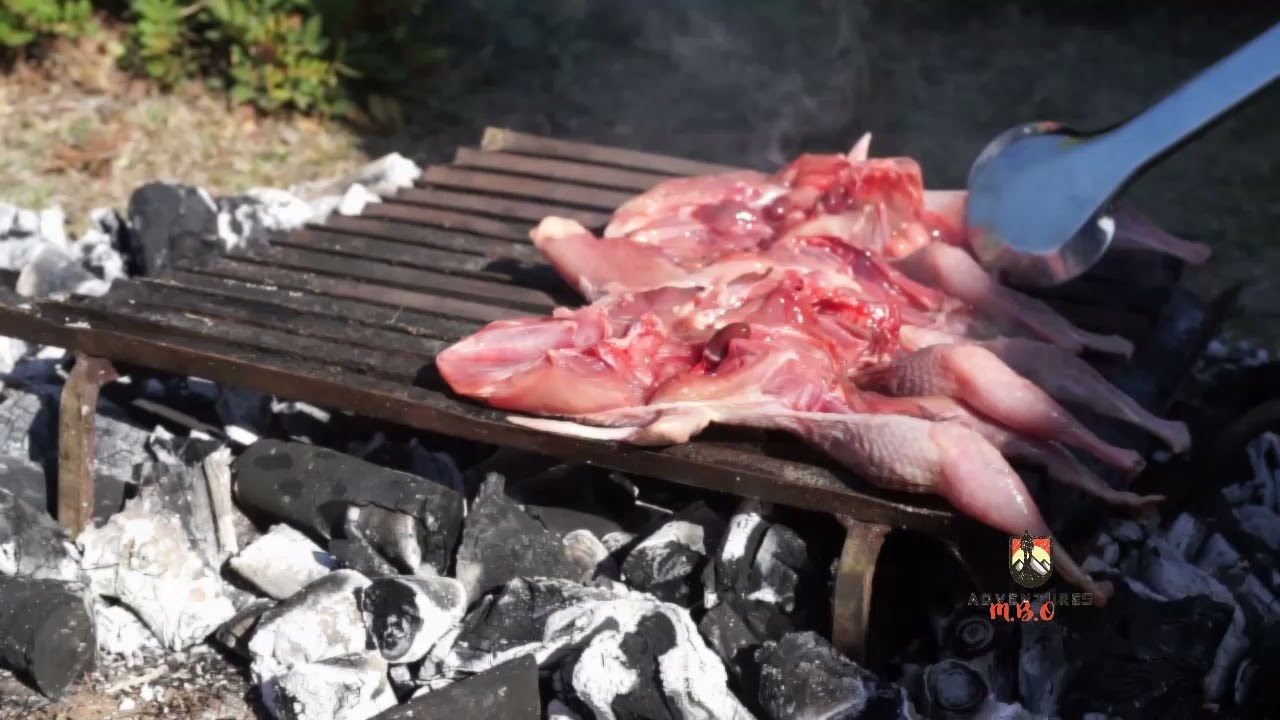 jakt i Tunisien 2021  #jakt med Tunisiacaccia  #m.b.oadventers