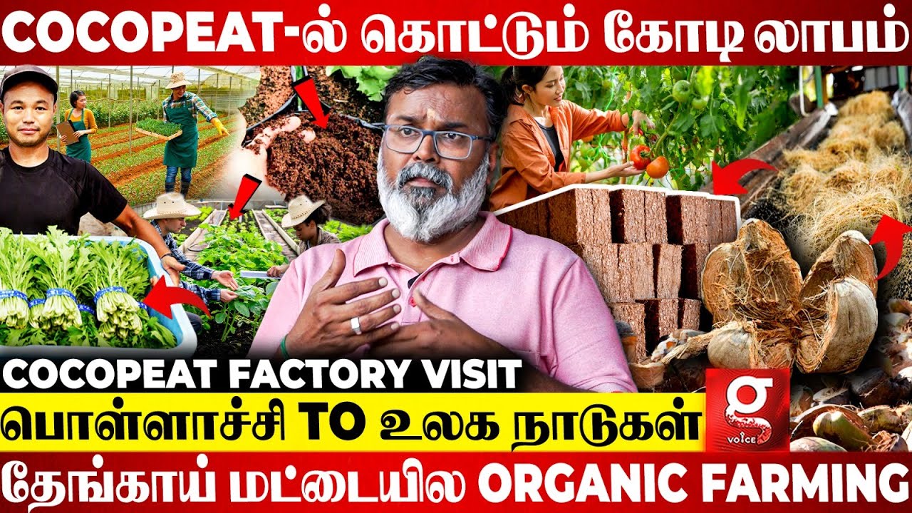 🔴பொள்ளாச்சி தேங்காய்க்கு போட்டி போடும் உலக நாடுகள்🔥Cocopeat Business-ல் குவியும் கோடி வருமானம்💰