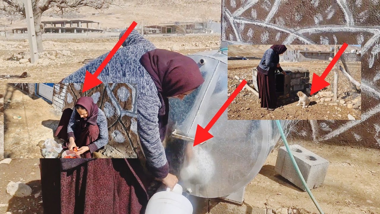 “Elham’s Clever Move! Pouring Water into the Tank to Finally Stop the Neighbors’ Noise!”