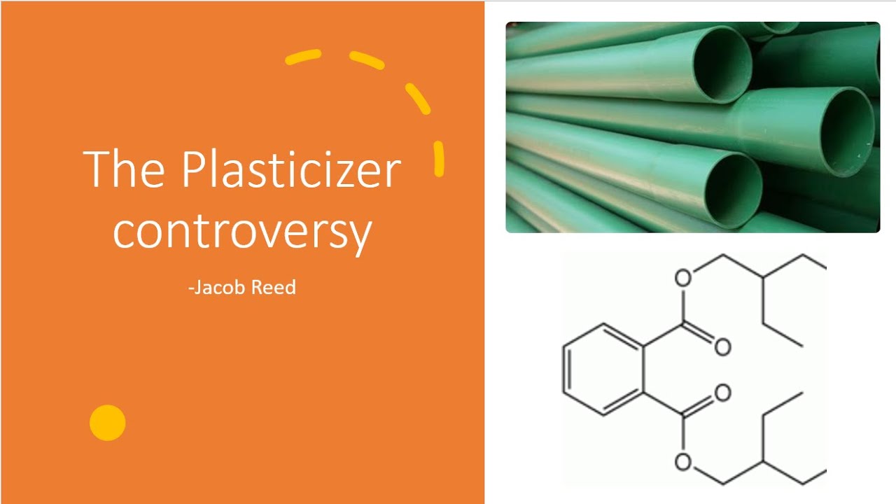 The Plasticizer Controversy