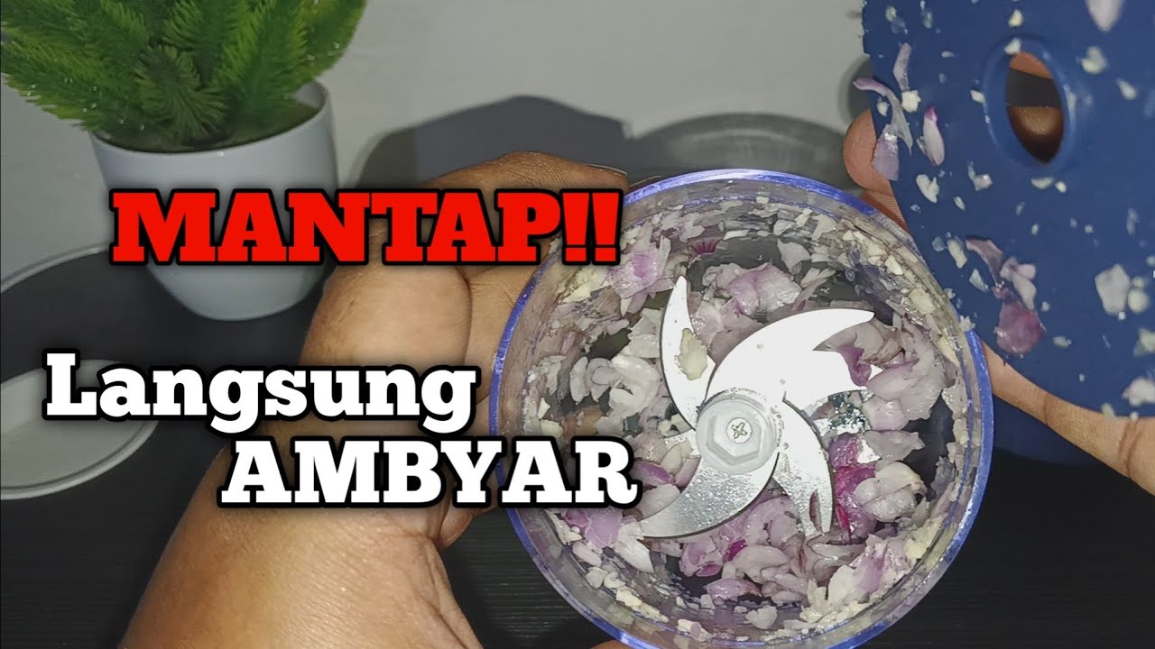 Barang unik bermanfaat untuk peralatan dapur | ecentio mini chopper