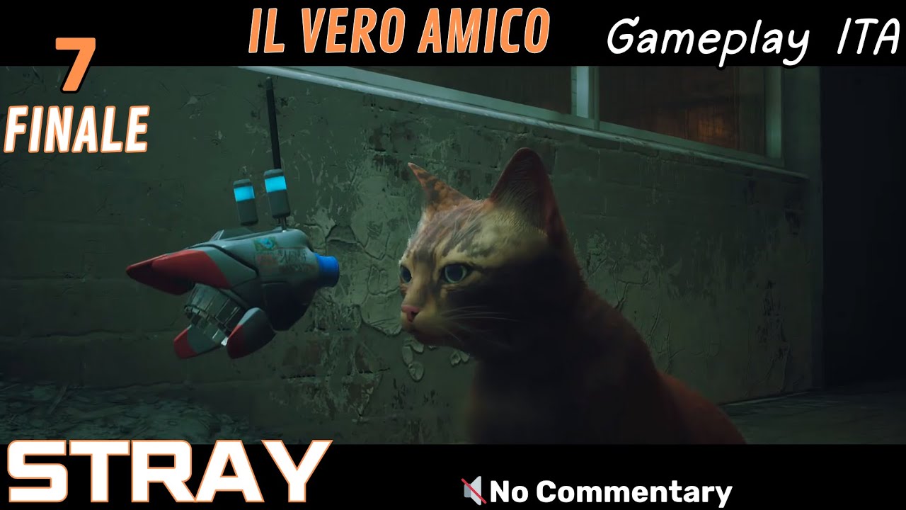 STRAY - Fuga e Destino - FINALE - Gameplay ITA #7 | Senza Commento, No Commentary