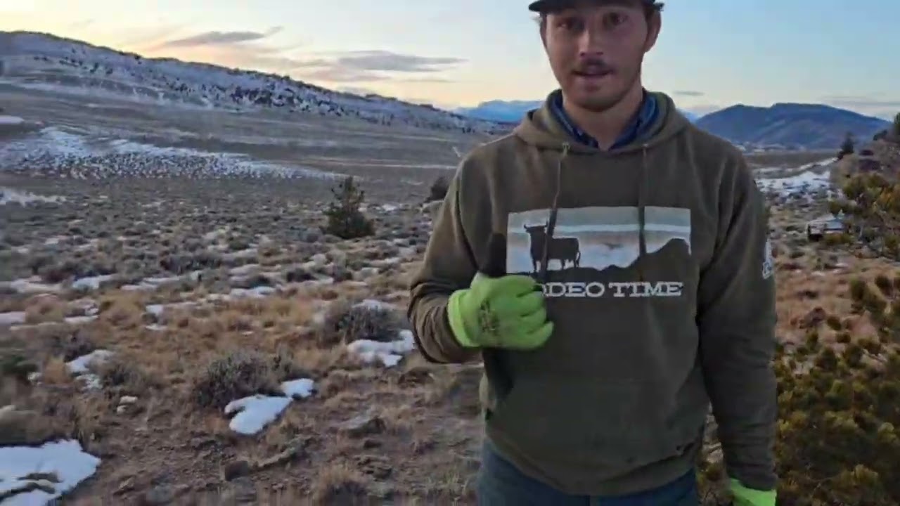 Lots of Bobcat Sets and we got our First Bobcat of the season!