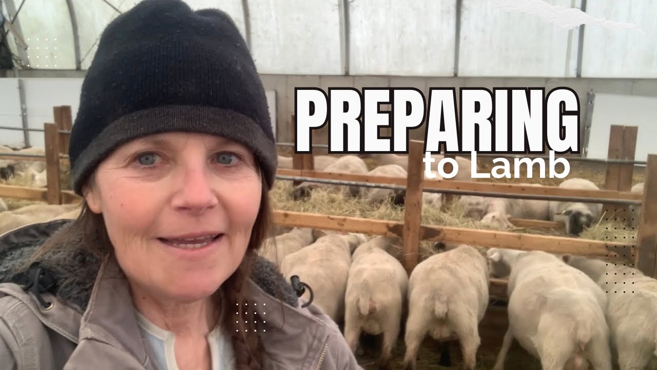 May Lambing Group inside Coverall. Lambing Jugs and Warming Box Get Set Up