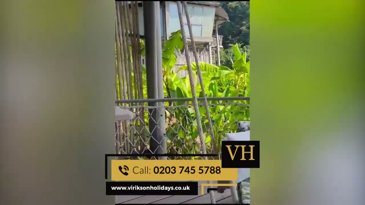 Отзыв клиента #thailand #treehousevillas #luxurydestination