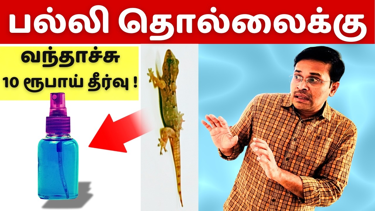 வீட்டு பல்லிகளை விரட்ட 10 வழிகள் ! lizard control home tips!