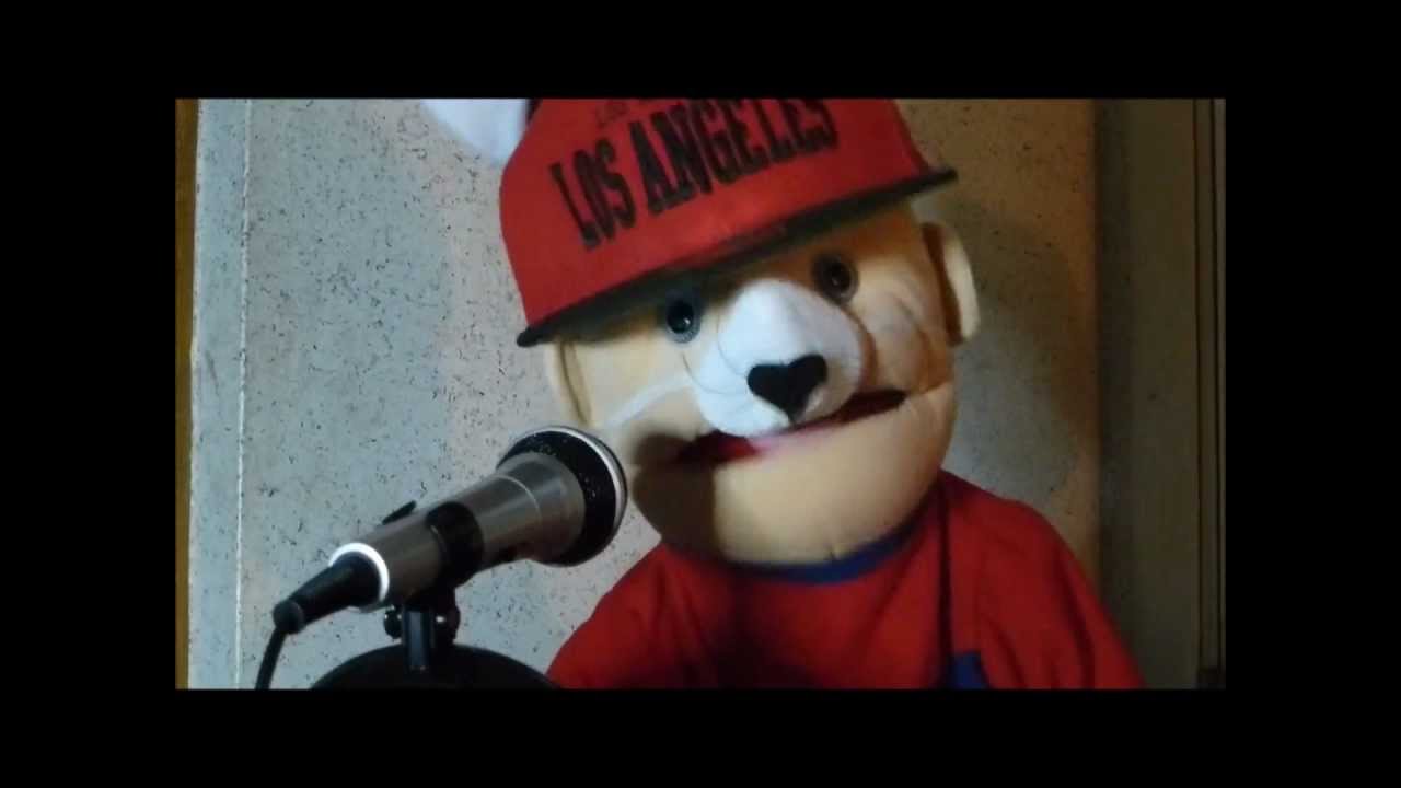 The Catsassin Song