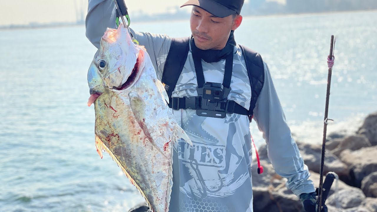 King Mackerel | Diamond & Golden Trevally | Barracuda | Multiple Landed | Shore Fishing Al Zorah UAE
