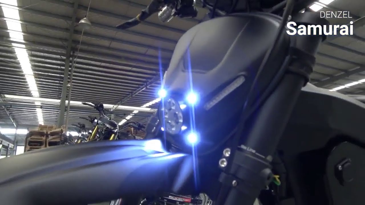 Powerful Electric Carbon Fiber bike Denzel Samurai