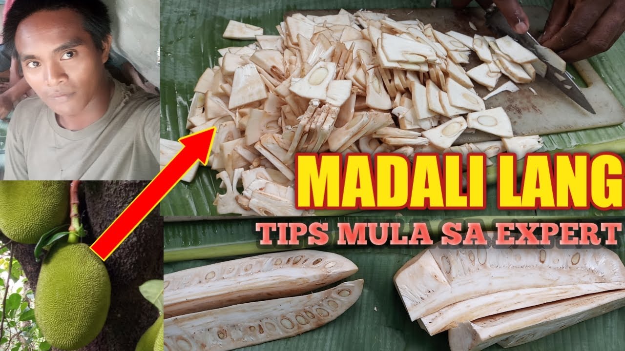 Paano maggayat ng langka | Panoorin Technique sa Paggayat ng gulay na langka