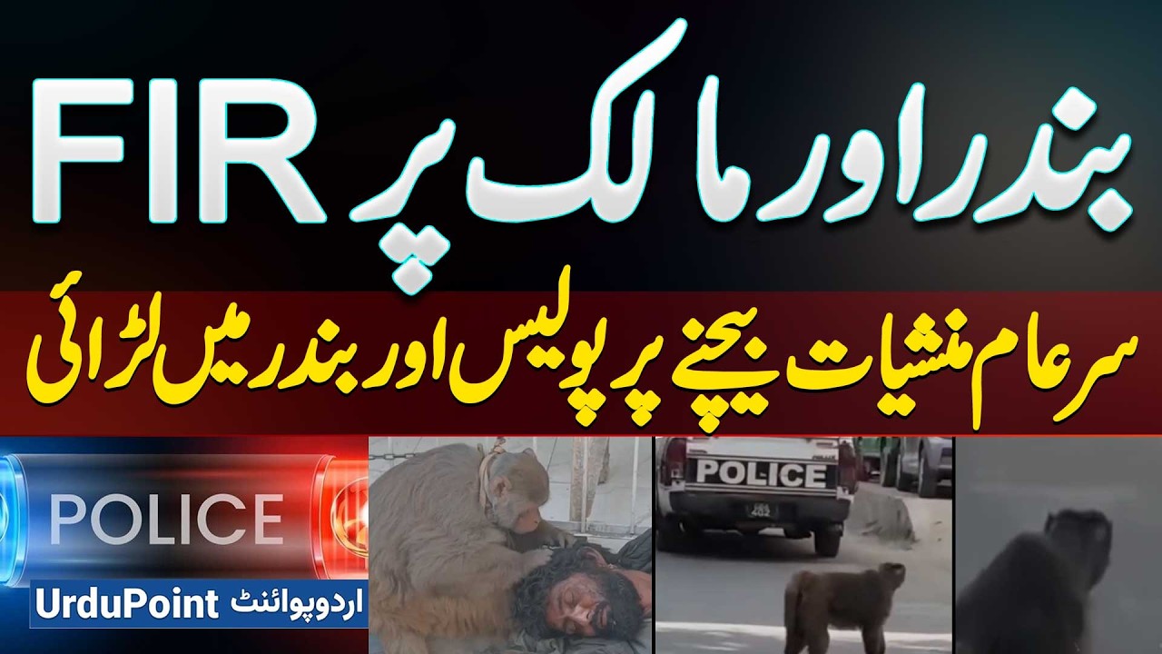 FIR Registered Against A Monkey And Its Owner After Fight Over Open Drug Selling