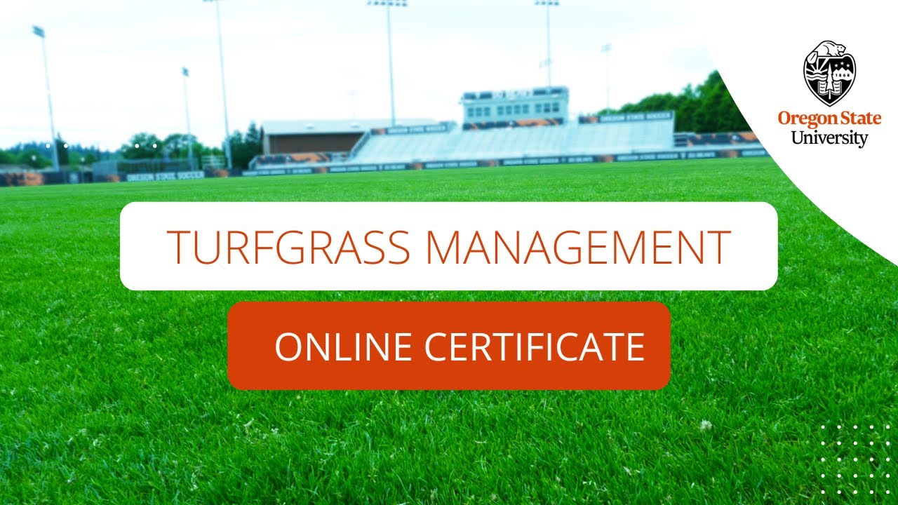 Get Ahead in Turfgrass Management with OSU's Online Certificate