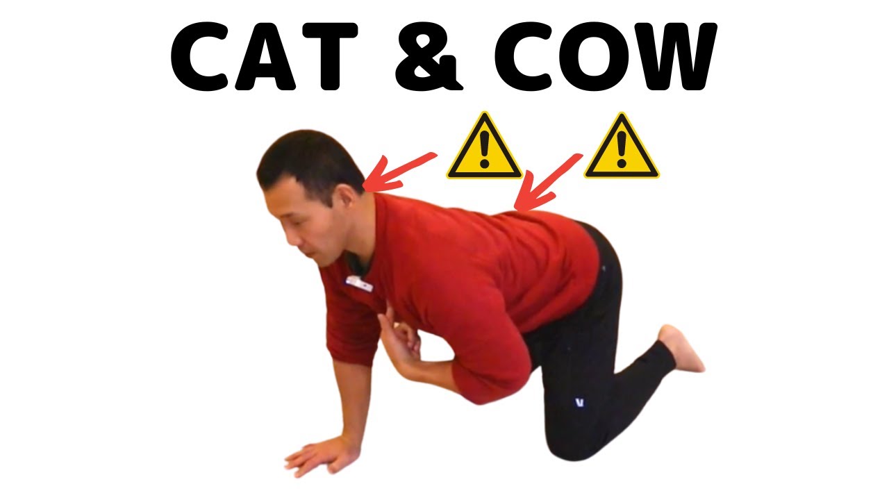 CAT & COW: Without hurting your back & neck