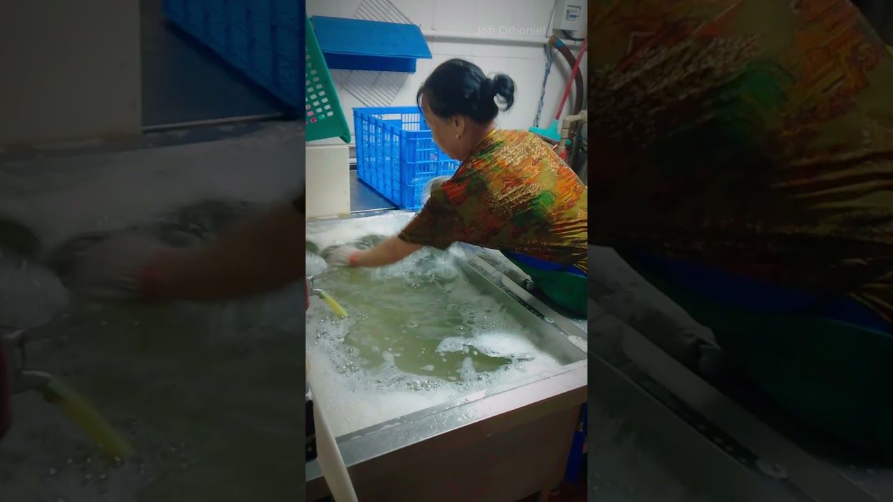 Aprende a lavar trastes como en un restaurante! 💦🍽️