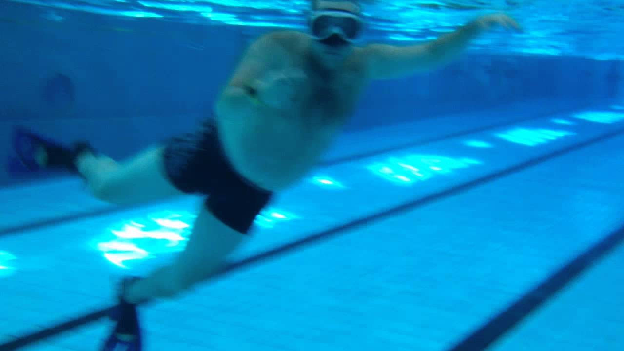 piscine les dauphins a mouscron